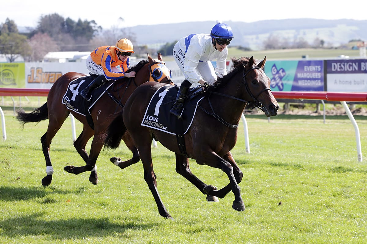 Savaglee set for a Guineas challenge