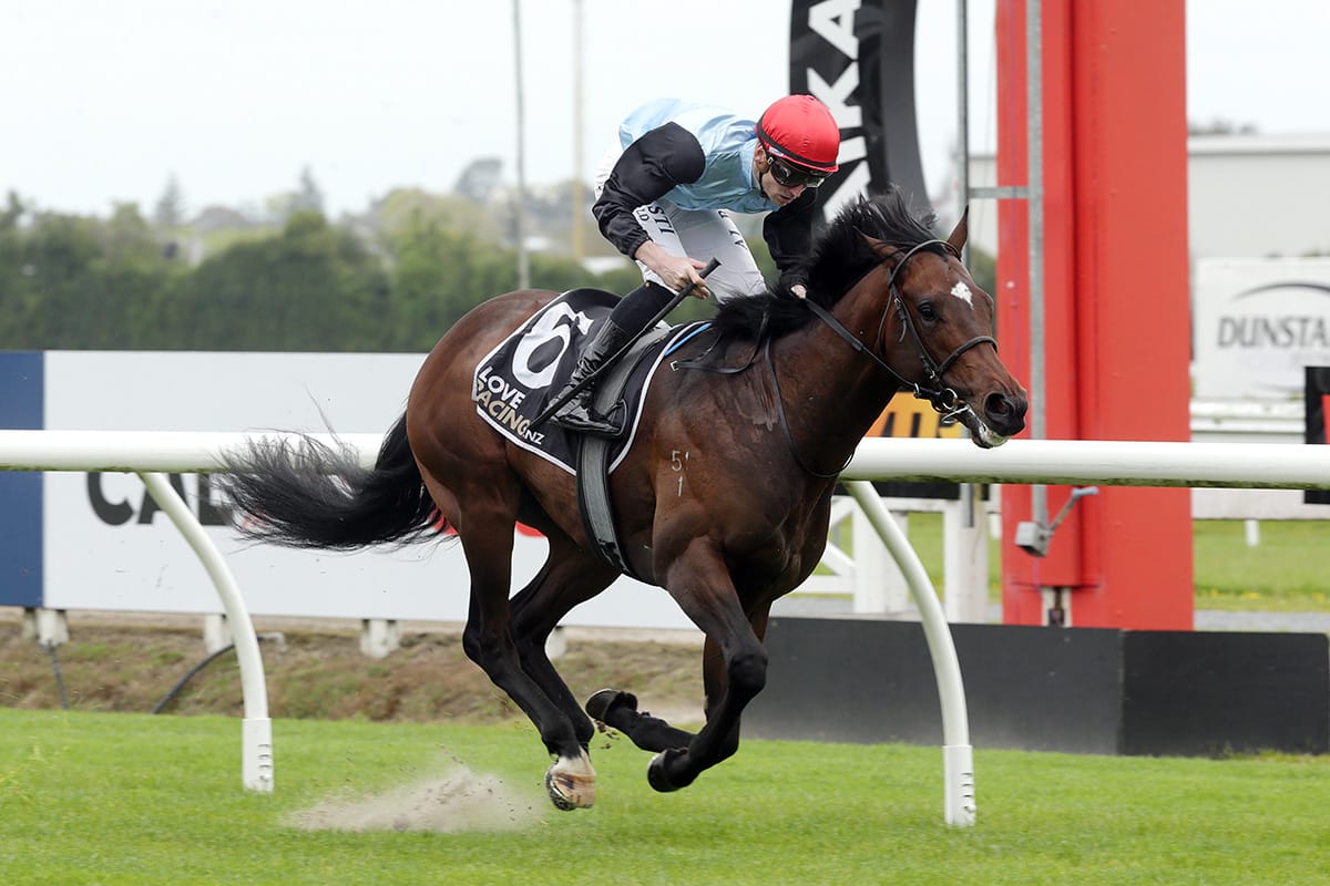 Suit Yourself too strong at Te Rapa