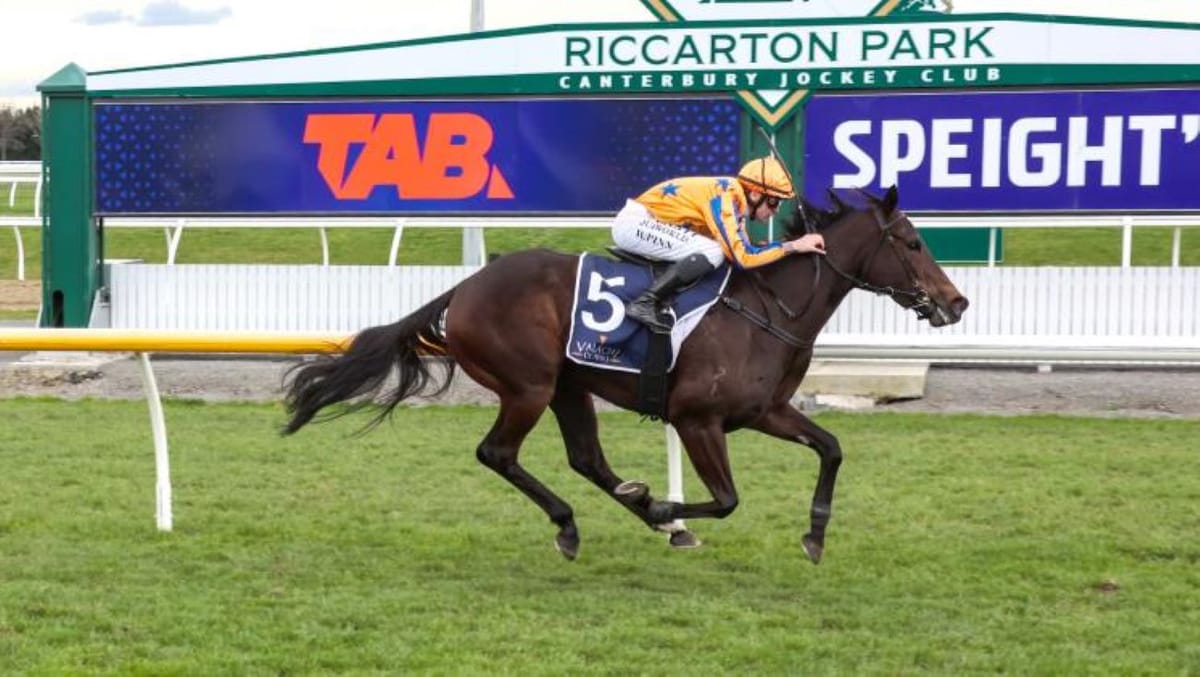 Stakes-bound filly tops Te Akau treble at Riccarton