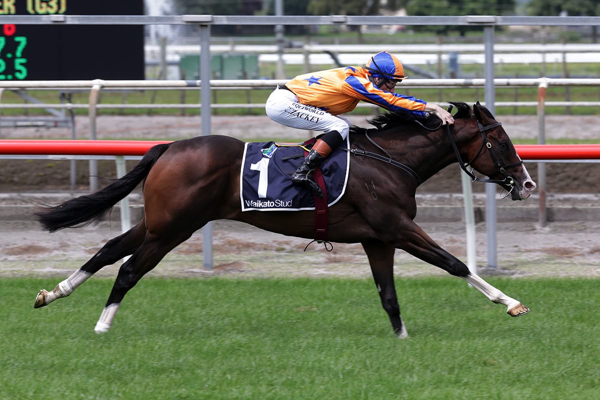 Te Akau building spring momentum in the South Island