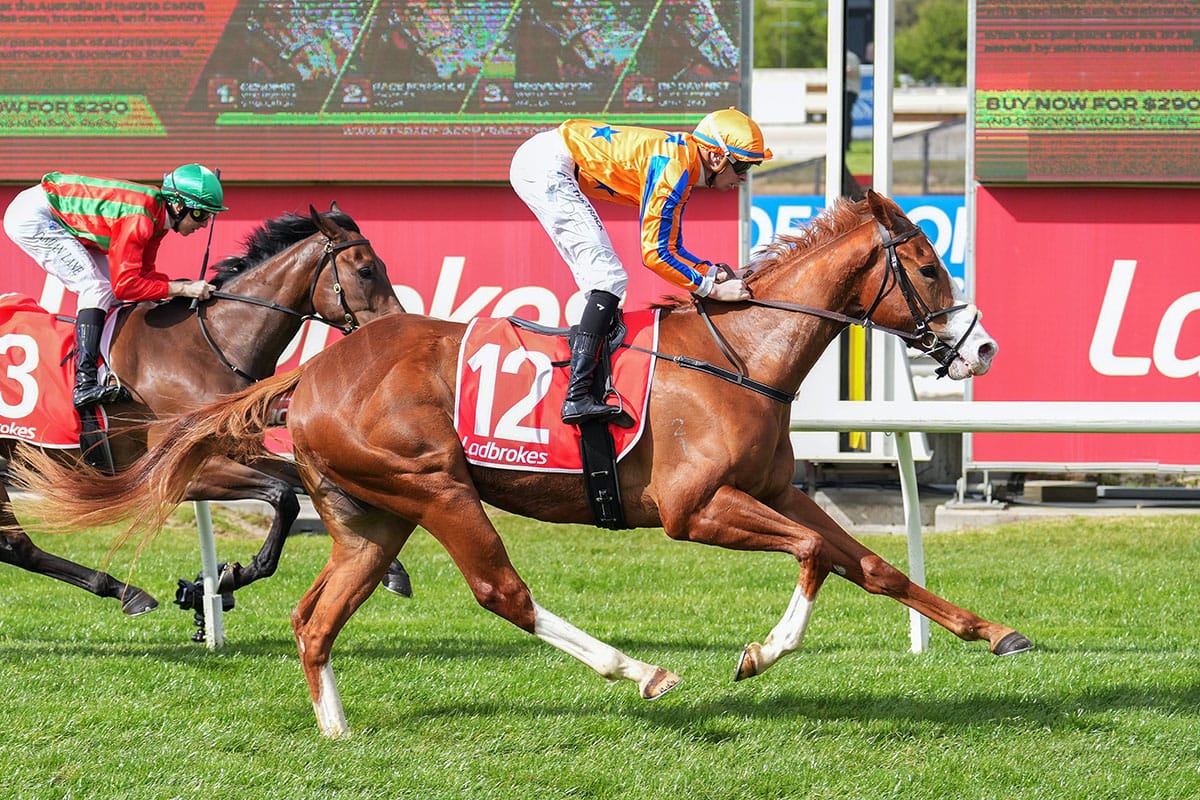 Walker tests a Derby bid with Truth Or Dare