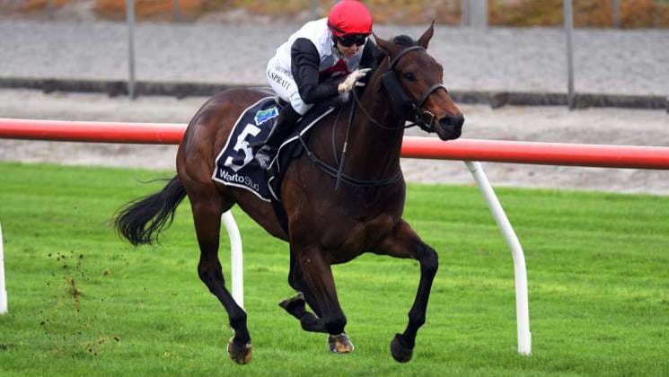 Acapelago Set for Group Two Test