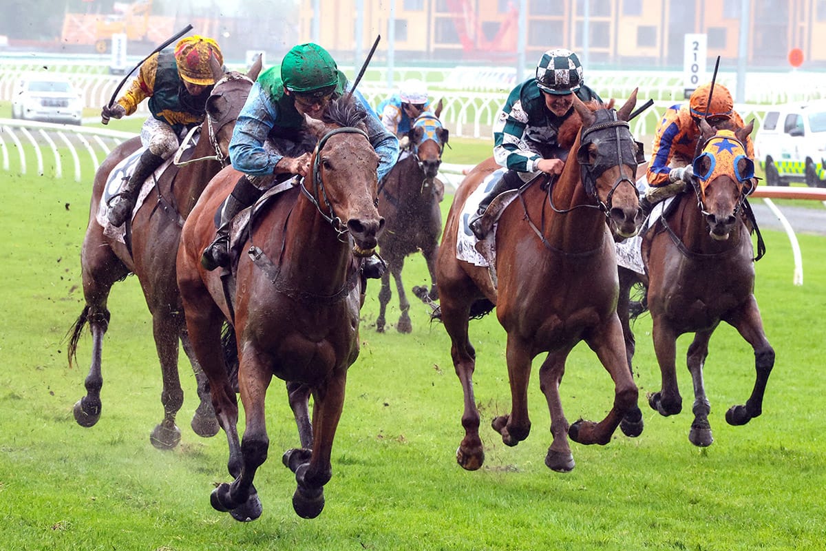 Topweight Aljay reigns supreme in Spring Classic