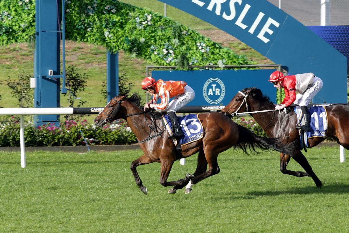 Progressive mare on song at Ellerslie