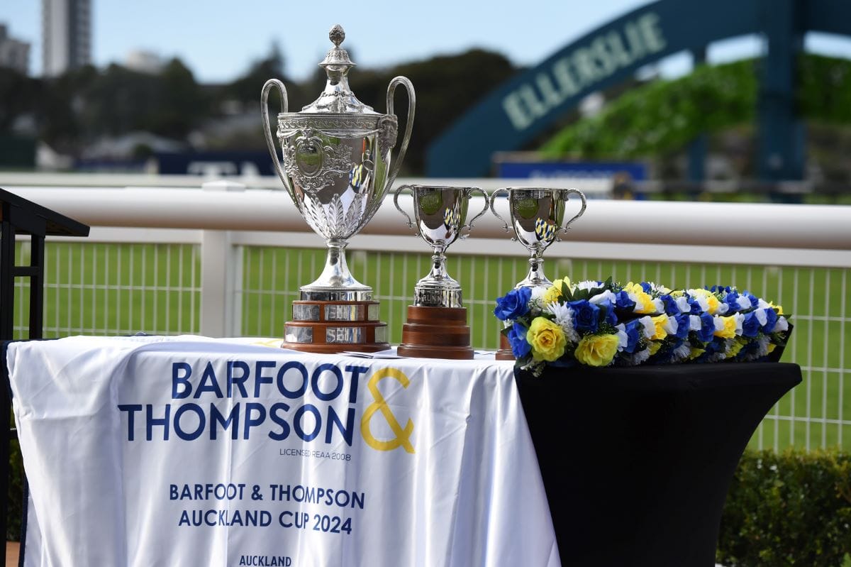 Ballot exemption for Auckland Cup winner