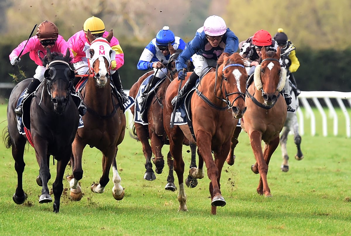 Battle Secret seeking local Cup honours