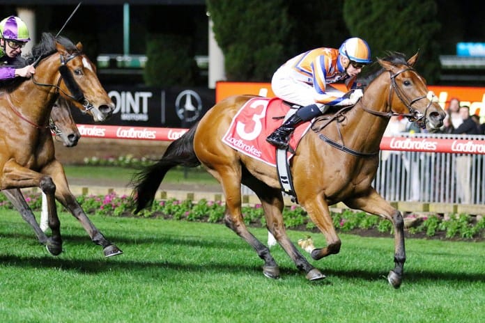 Group One target on the horizon for Bellatrix Star