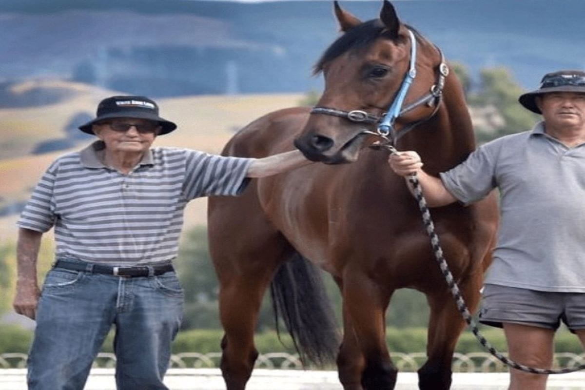 Anderton recognised for lifelong commitment to thoroughbred industry