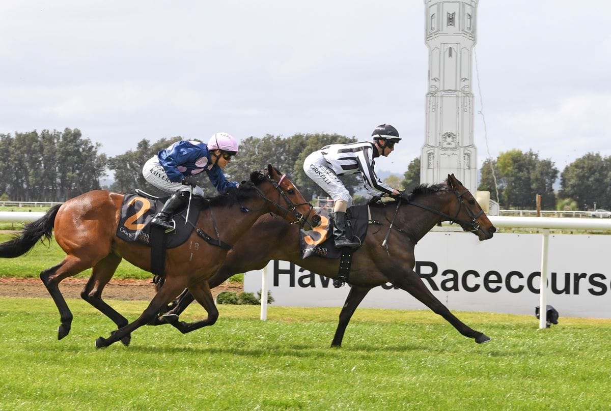 Connello enhances her prospects for higher honours