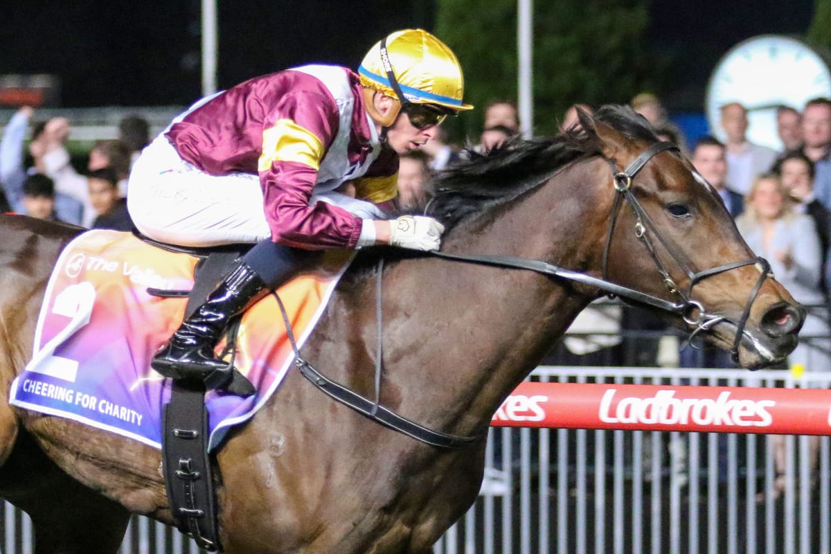 Evaporate is in line for Cox Plate honours