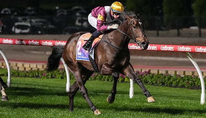 Williams' Quest for Cox Plate Glory