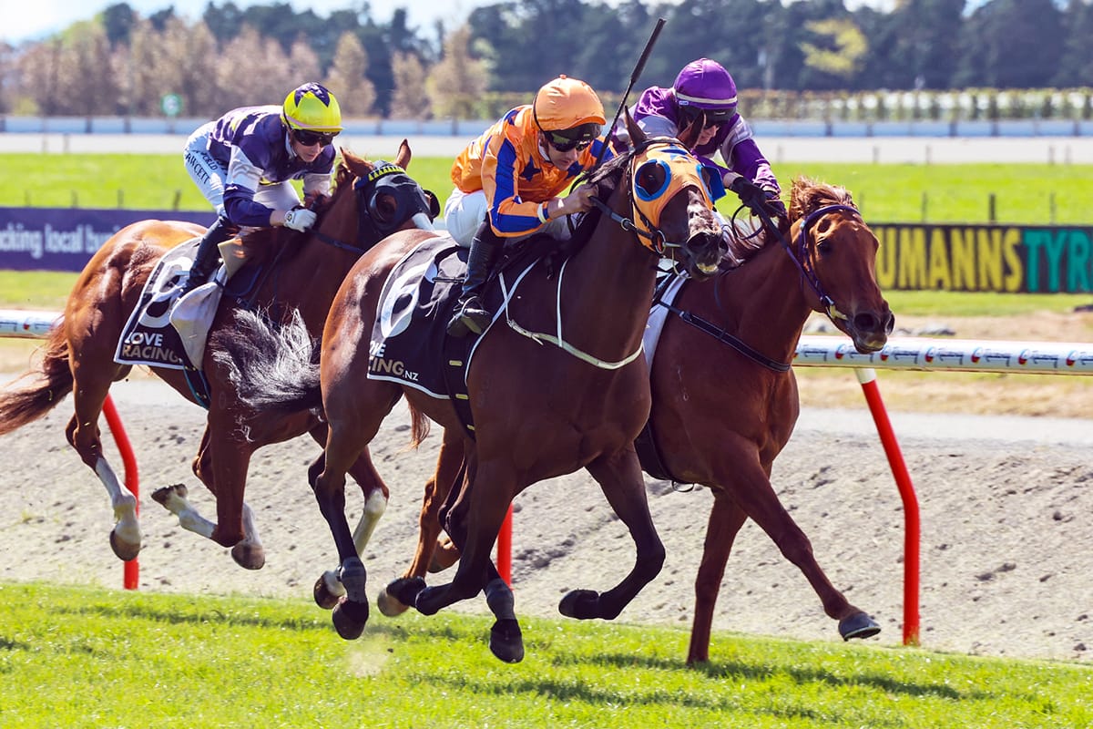 Riordan makes immediate impact at Ashburton