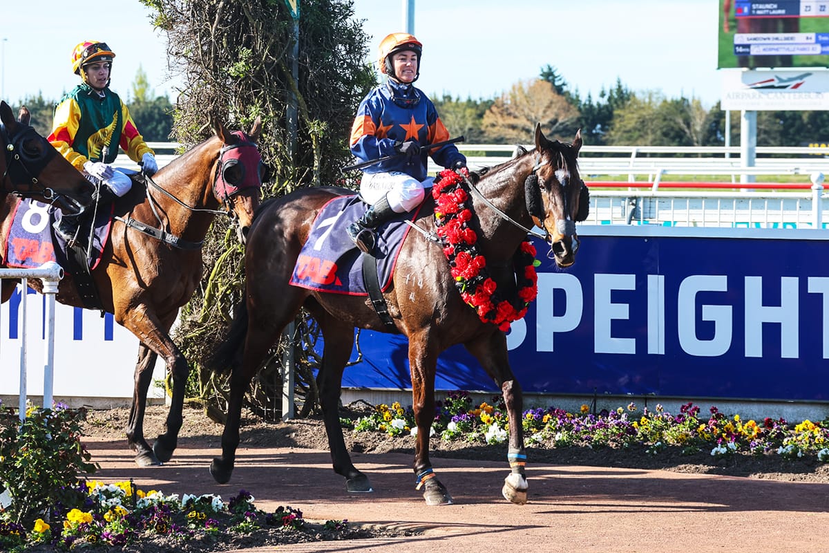 Evergreen galloper sets sights on plundering northern spoils