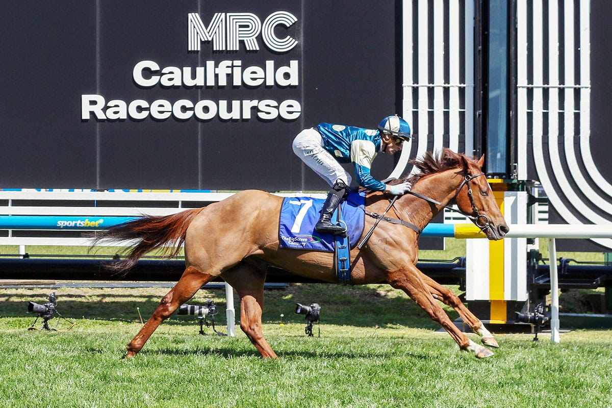 Stakes success for rising star Jimmy