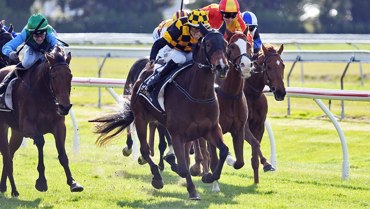 Stakes Winner Set for Tauranga Assignment