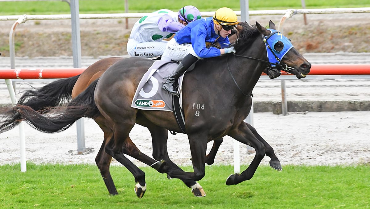 Australian venture for in form Wolfgang