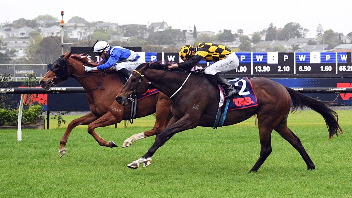 Meaningful Star collects first New Zealand victory