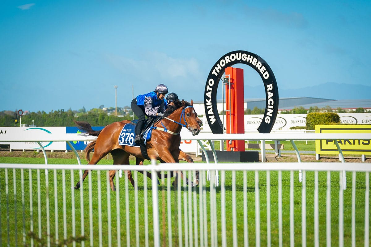 Ready to Run Sale’s Class of 2023 Deliver Rapid Returns