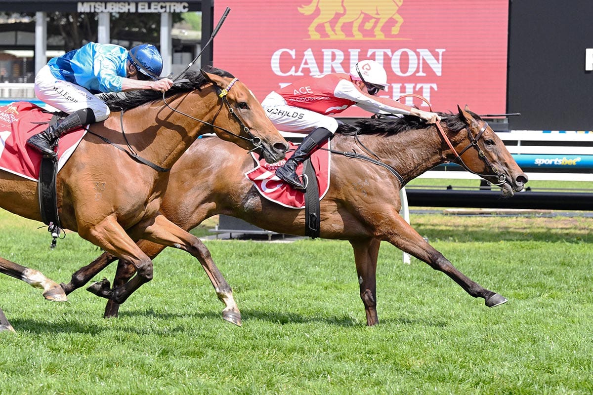 Former Kiwi provides Begg with stakes triumph