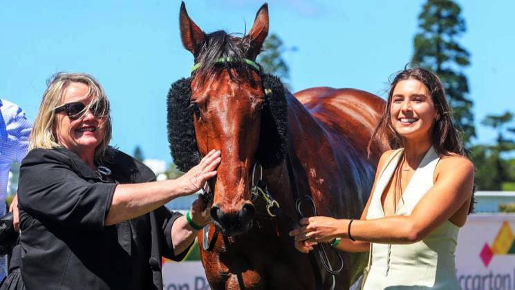 Hometown Cup Tops Noble Knight's Wish List