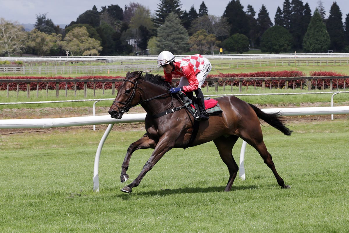 Orchestral ready for Toorak test