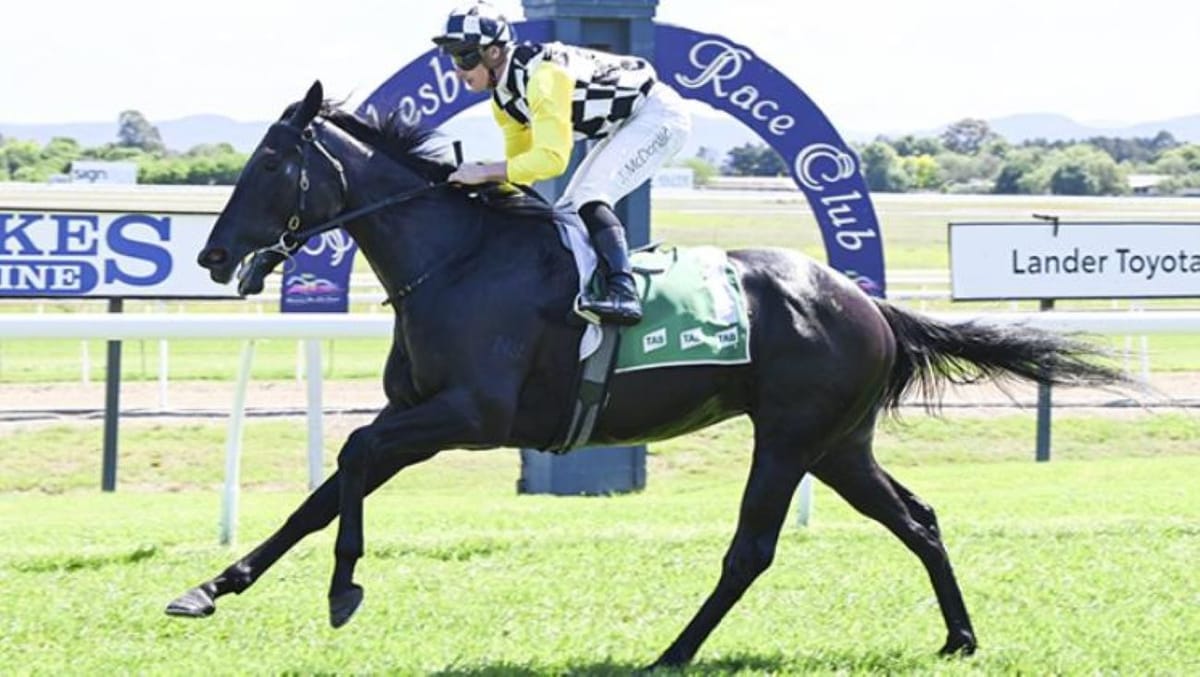 Kiwi-bred filly seeking Flemington double