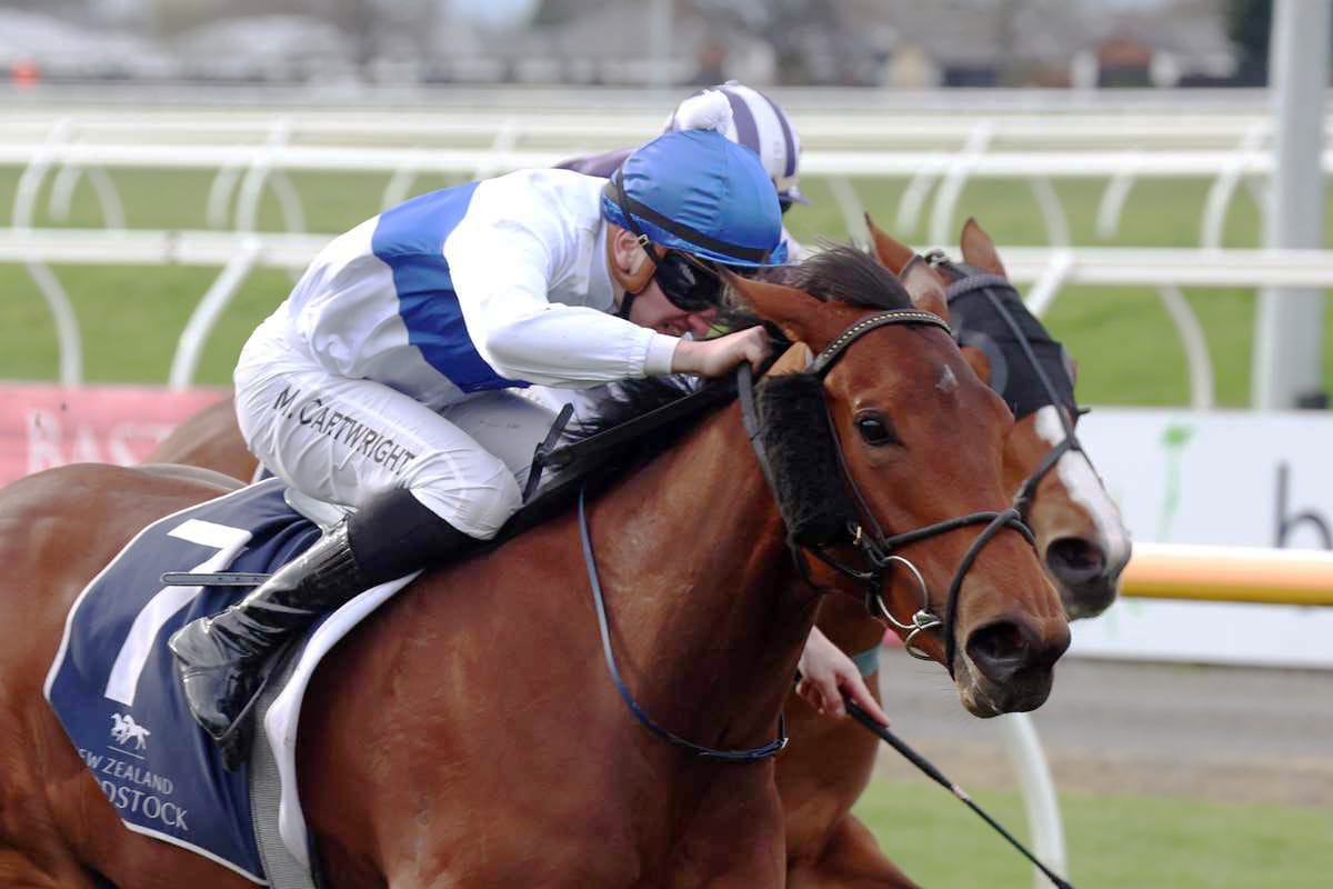 Pike is aiming to cover all Group bases with his talented lineup