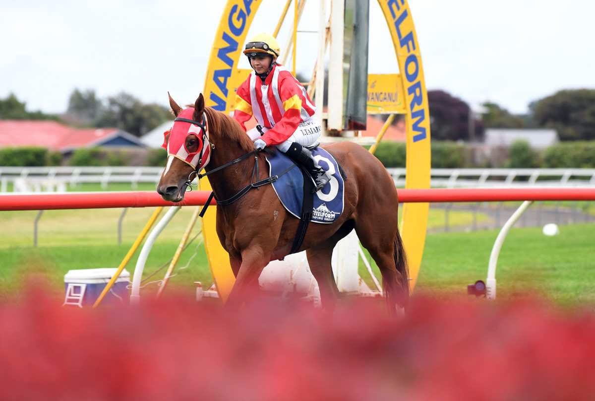 Smart performer is bidding to further black type record