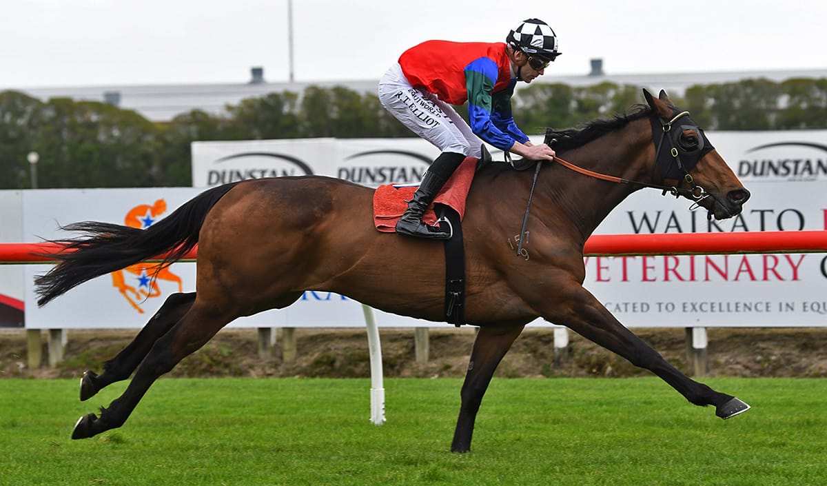 Valley Assignment Awaits Kiwi Cup Contenders