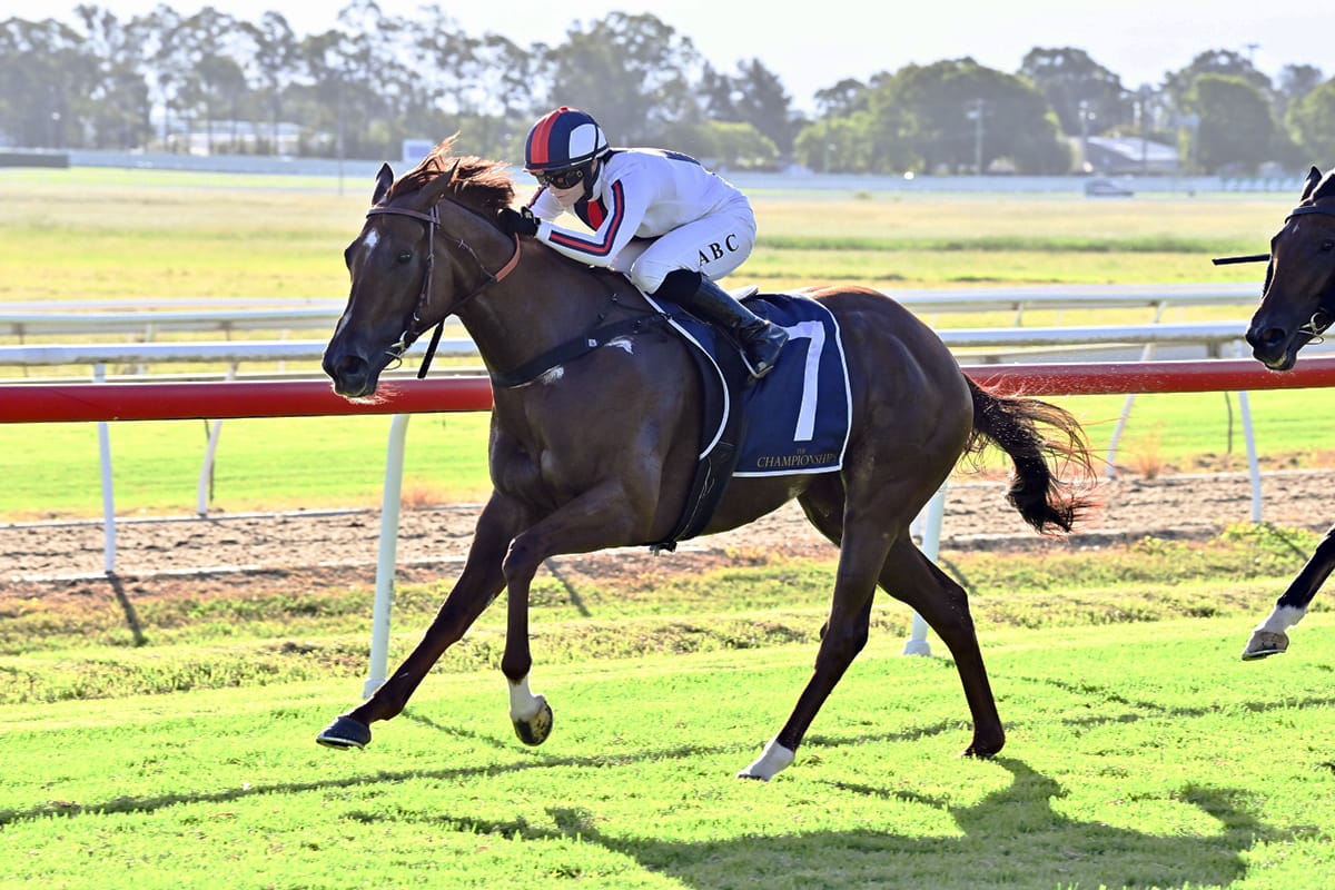 Short Shorts has returned to New Zealand to take on some exciting stakes targets.