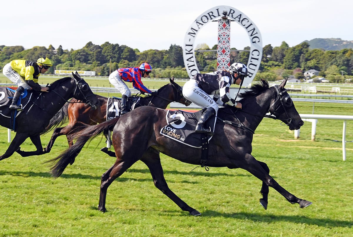 Sumi Surpasses $200,000 in Earnings with Dominant Otaki Victory