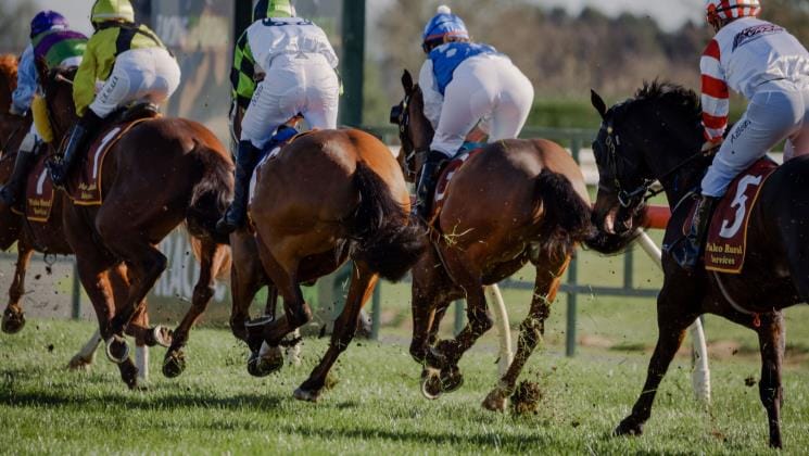 Te Aroha has completed return to racing protocols