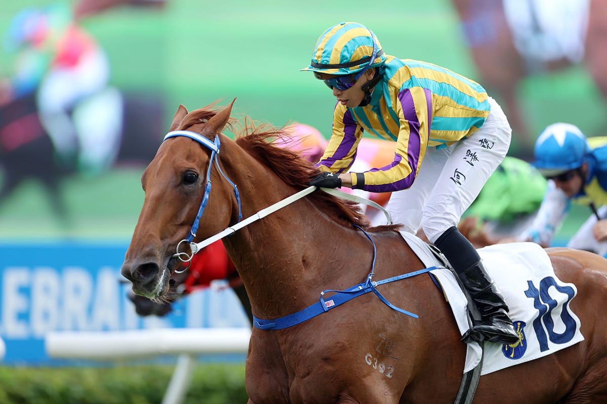 Rising Karma looks to raid Group 3 Sa Sa Ladies’ Purse at Sha Tin