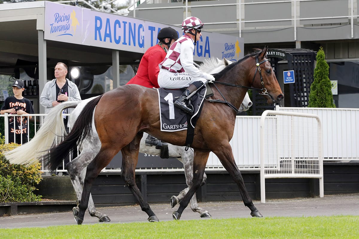 Foote pair impress at Tauranga