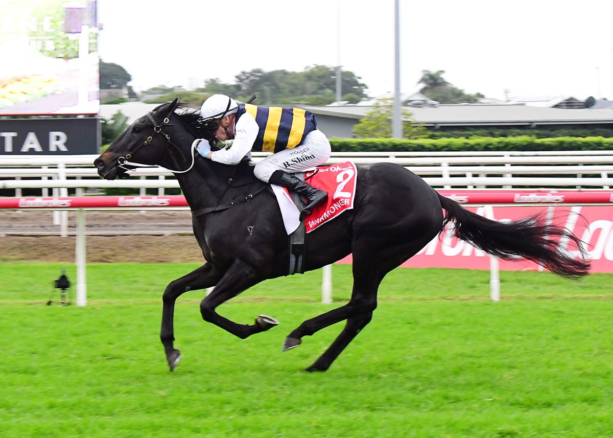 Warmonger takes next step on his Cup path