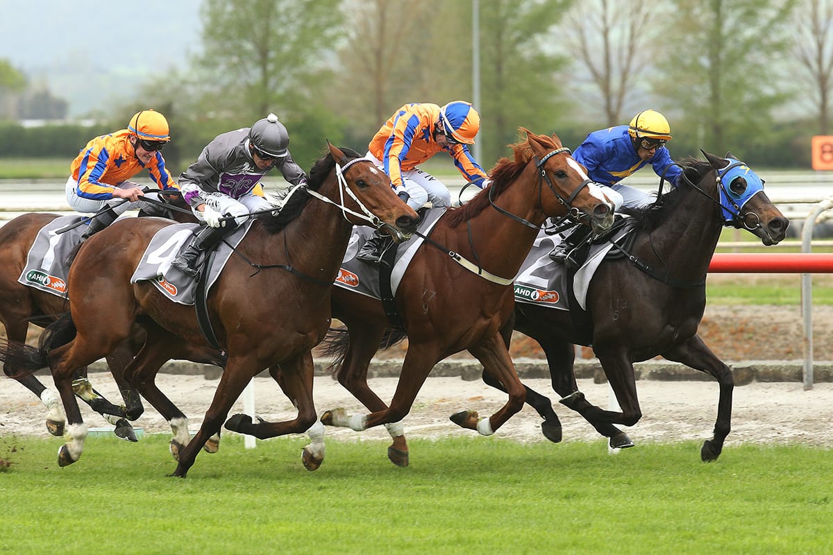 Wild Night is back on top in new campaign