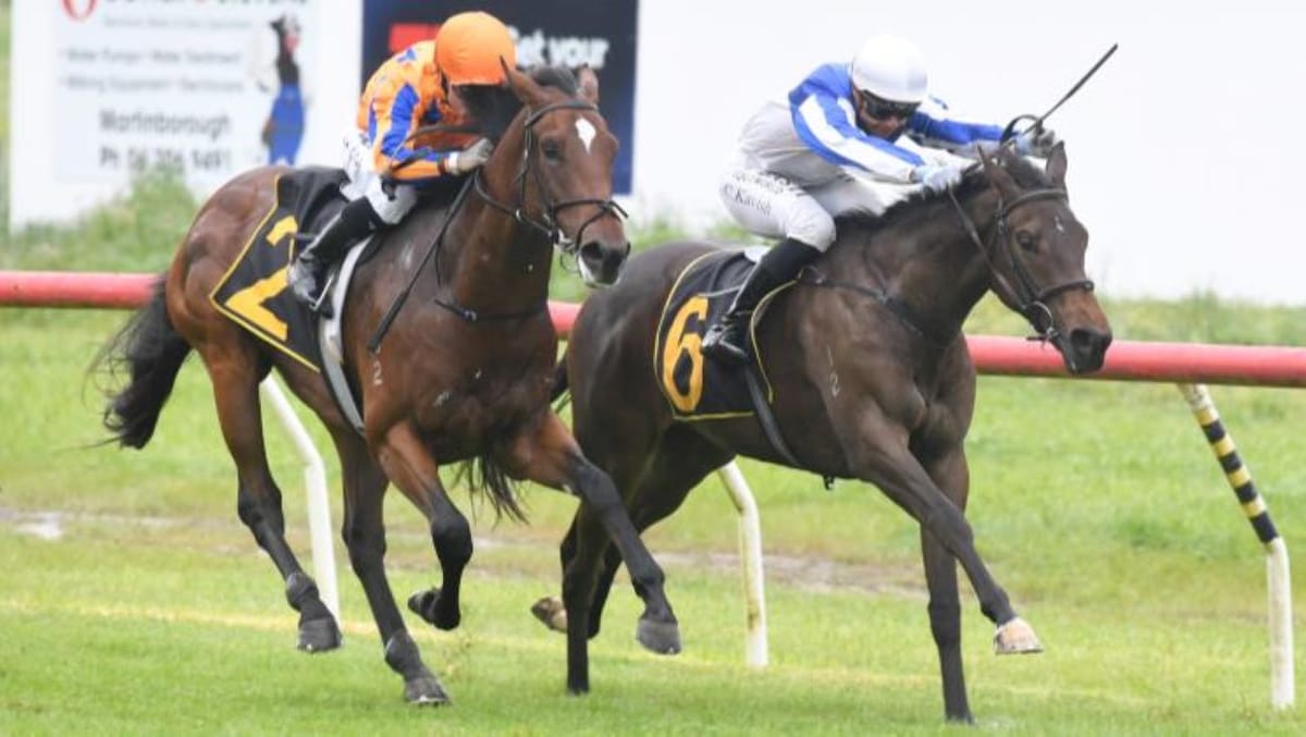 Abbakiss on the board at Tauherenikau