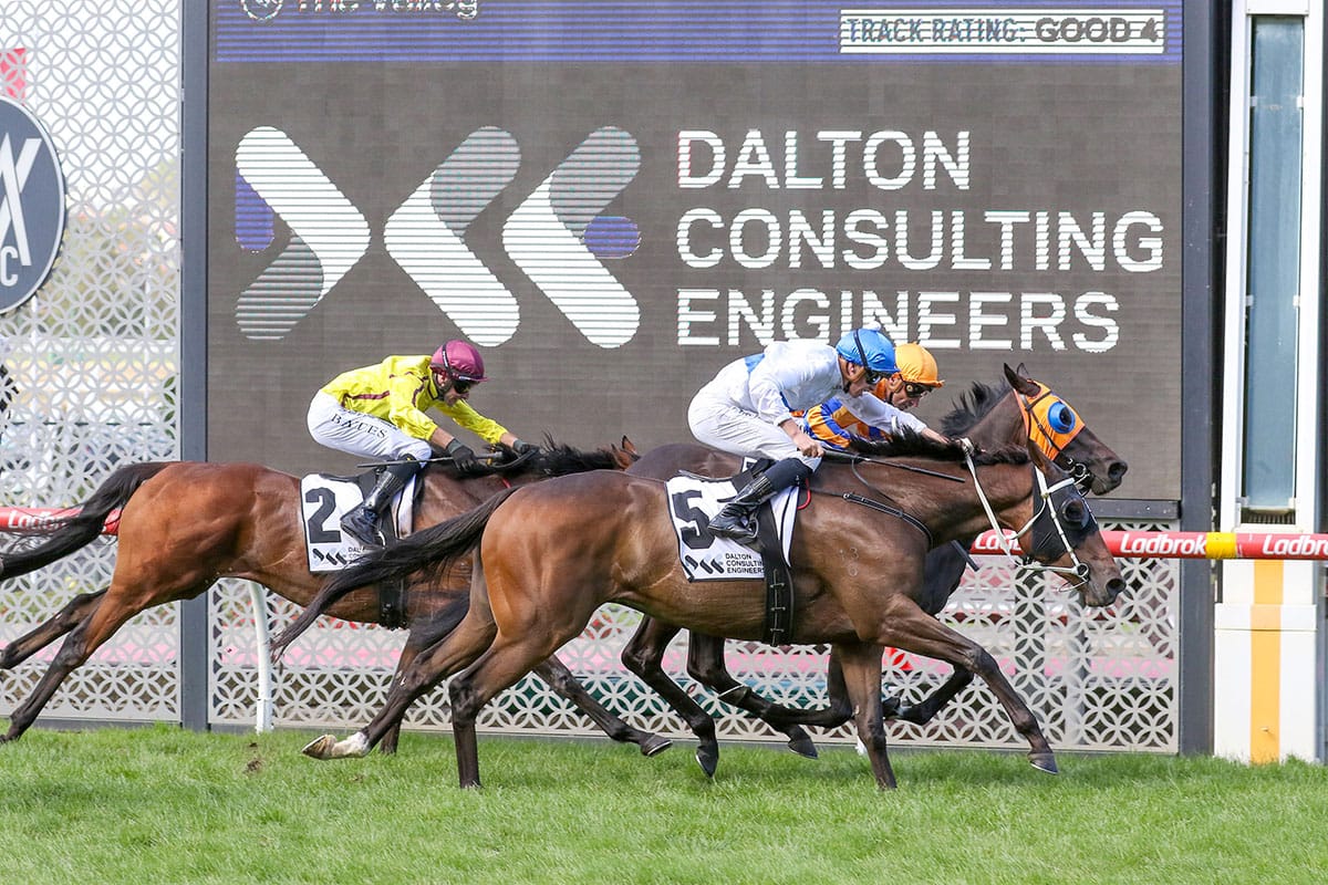 Antrim Coast kicking off big week for Oaks