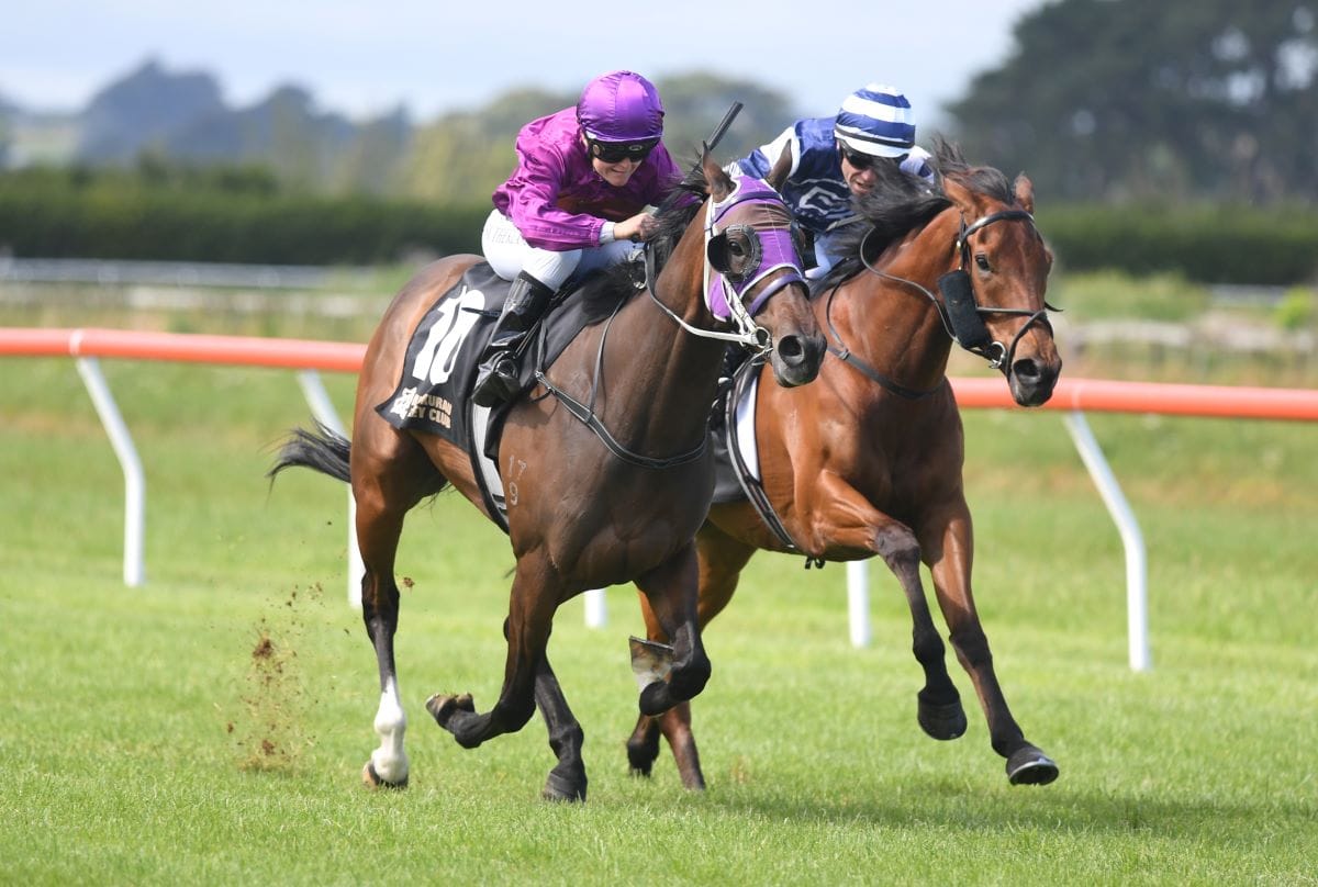 Benefactor too tough in Cup