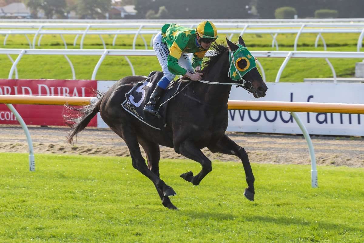 Local stable out in force at Wingatui