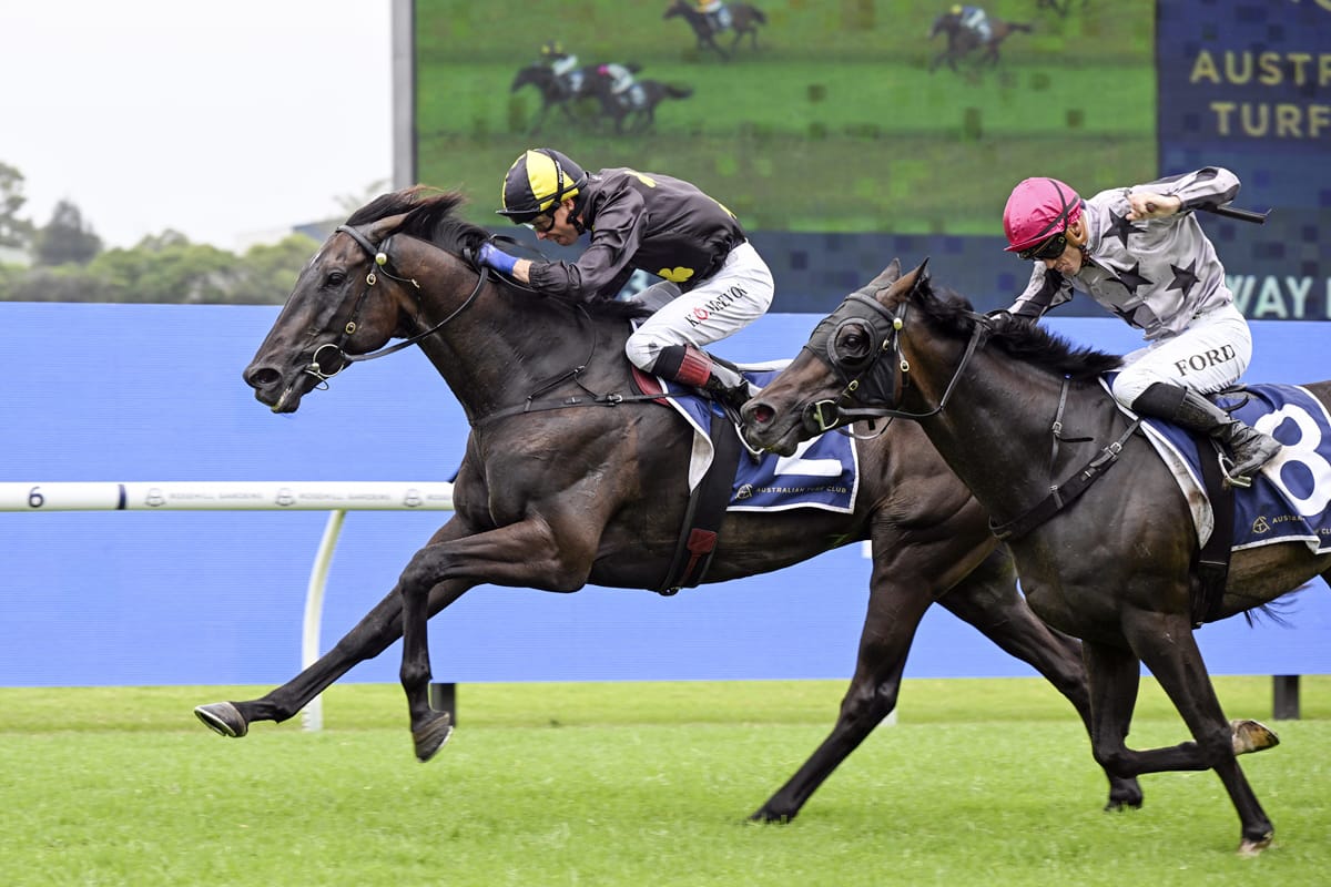 Casual Connection back in winning form