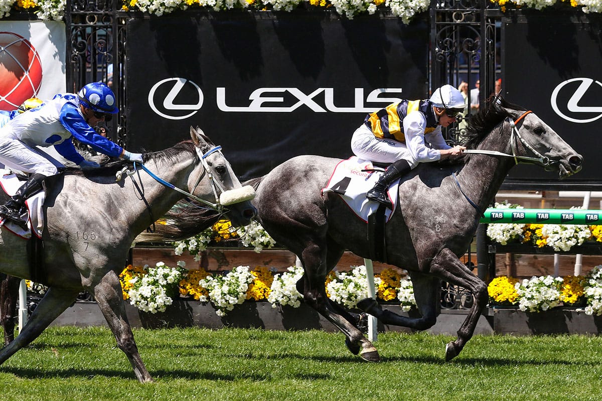 Cloudland Claims Victory in the Subzero