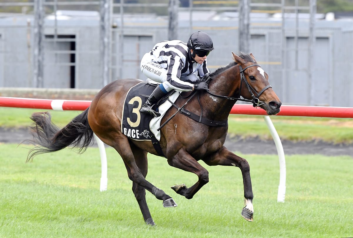 Connello chases black type in Fillies’ Stakes