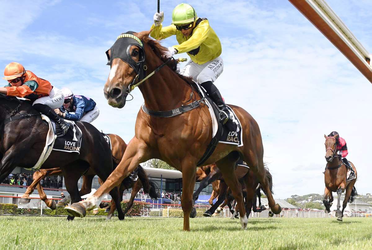 Drop Of Something Set for Wanganui Return