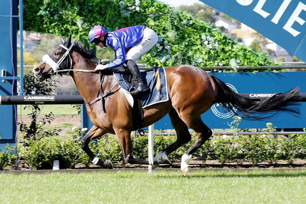 El Vencedor Returns to Form at Ellerslie