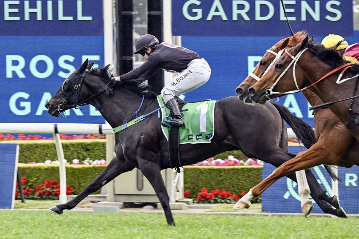 Elettrica too tough under top weight