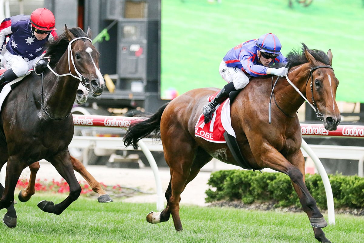 Breeding feather in vendor’s cap