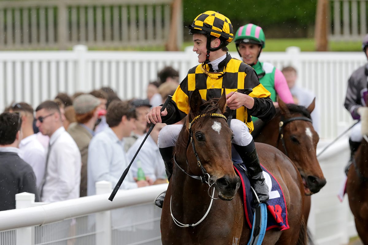 Well-performed Habana ready to emphasise versatility