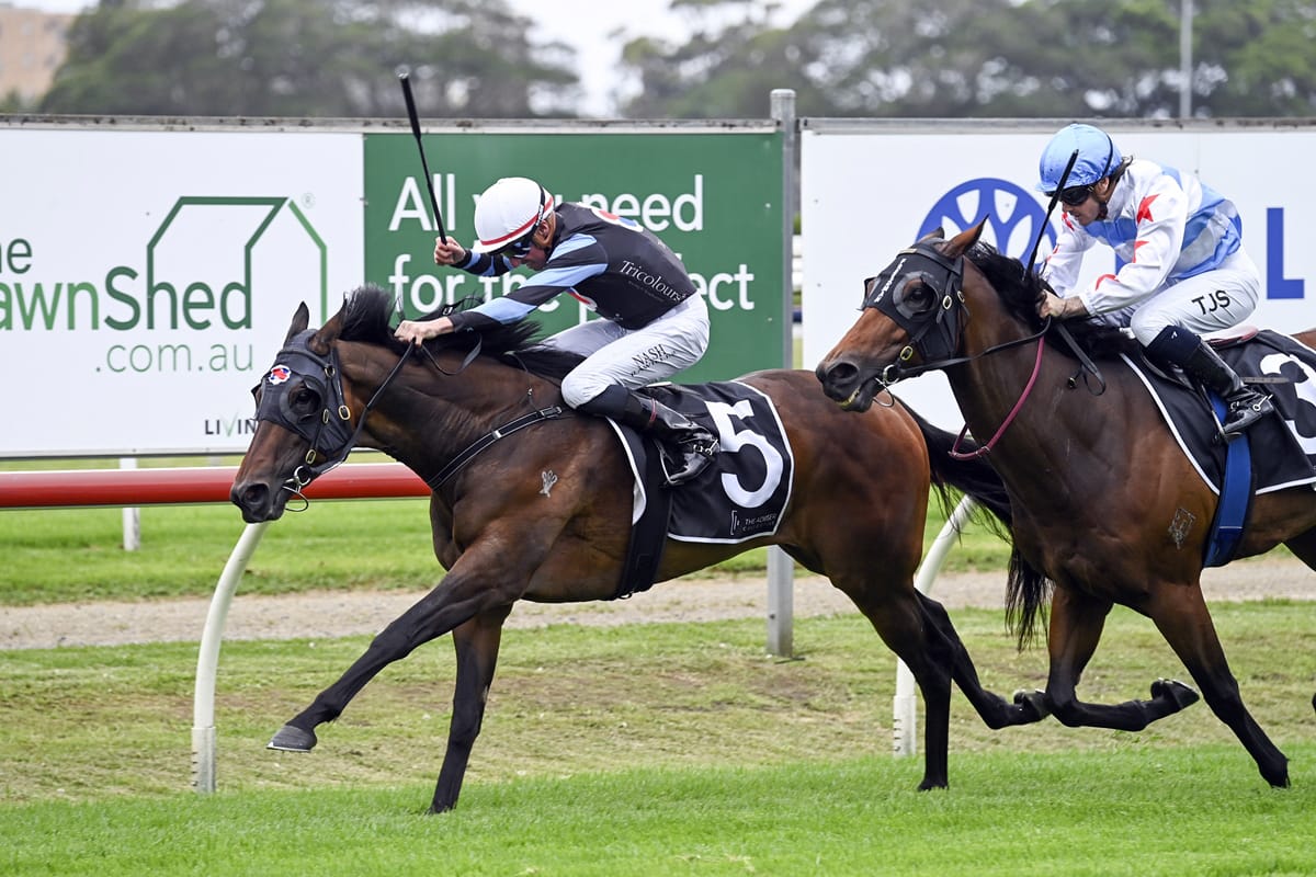 Harlow Mist returns to winner’s circle