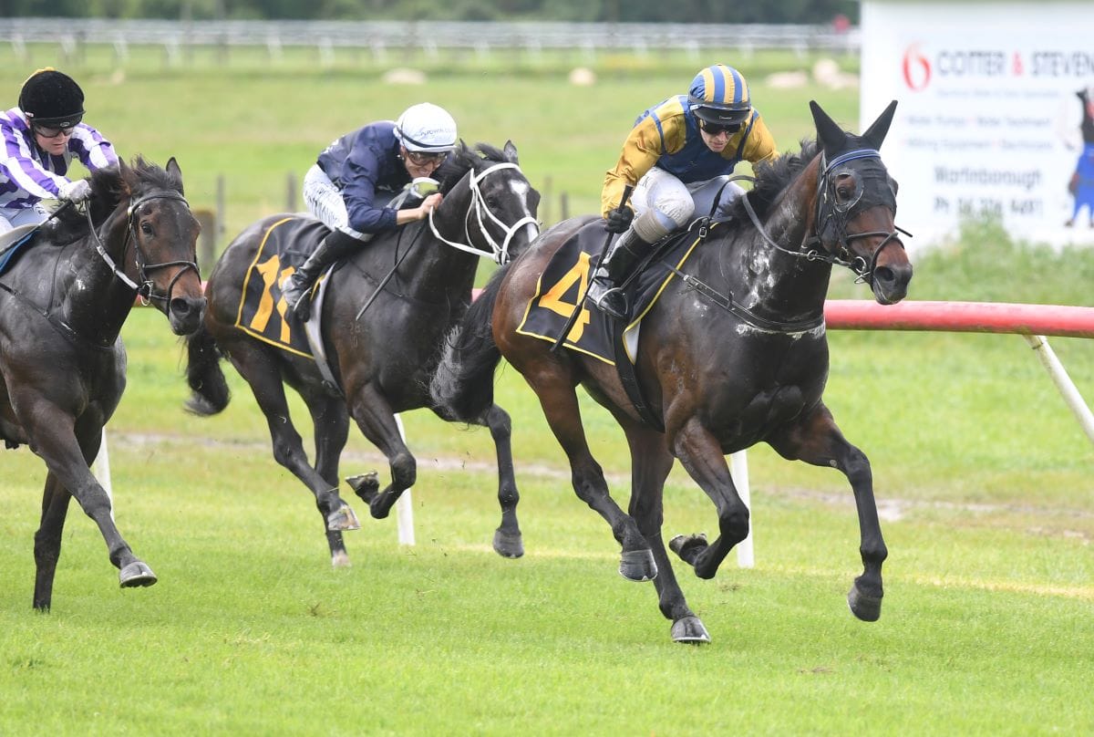 Idyllic salutes for the Grays